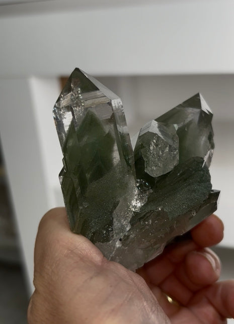 High Grade Himalayan Green Phantom Quartz 💎