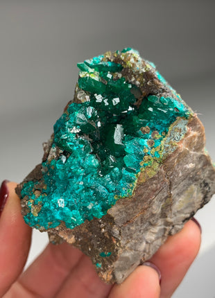 Lustrous Green Dioptase - Reneville, Congo