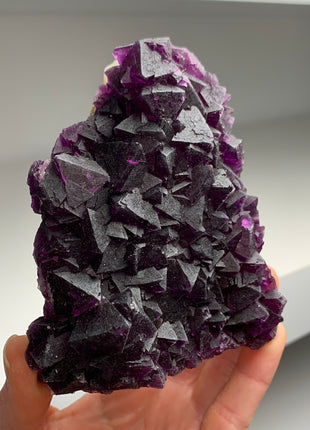 Octahedral Reddish Purple Fluorite