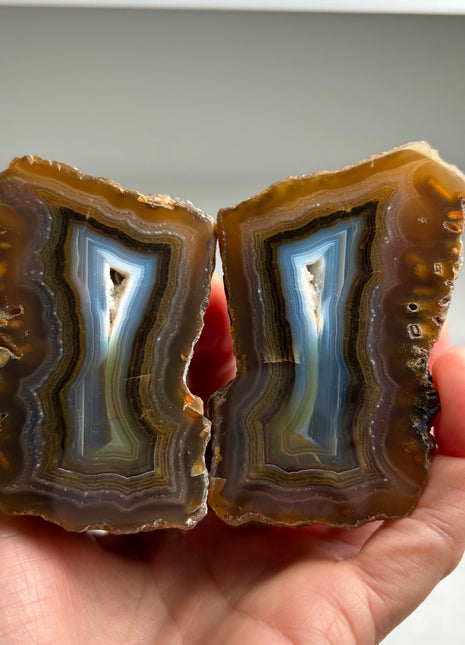 New ! Black Sea Agate Pair