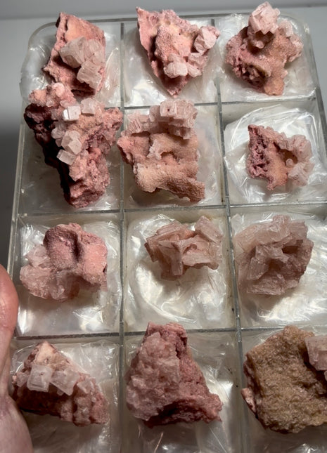 12 Pieces ! Pink Halite Lot