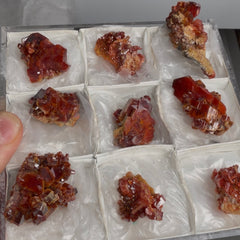 Collection image for: Red Vanadinite