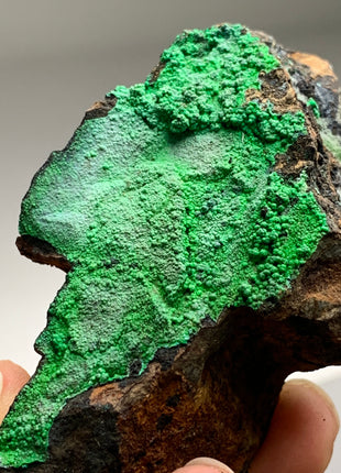 Vibrant Green Conichalcite ! From Spain