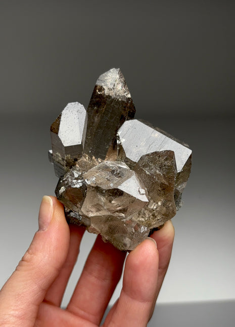 Smoky Quartz with Green Chlorite - From Chamonix, French Alps