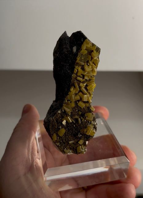 Wulfenite Sandwich Specimen