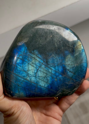 Incredibly Colorful Labradorite PM0555