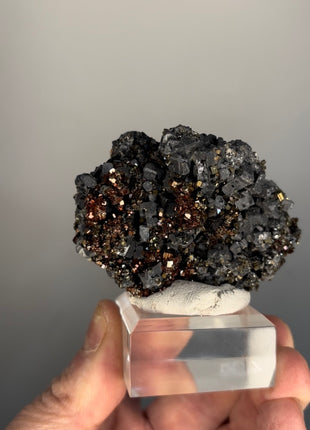 Wow ! Red Pyrite with Galena Specimen