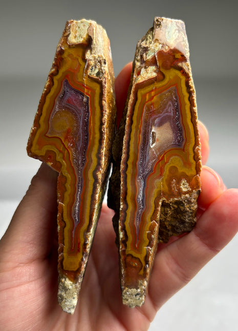 Rare ! Black Sea Agate Pair