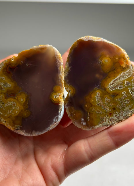 New ! Black Sea Agate Pair