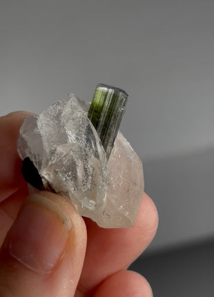 Green Cap Tourmaline with Quartz PM1429