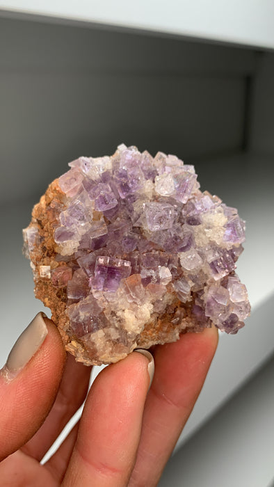 Cubic Purple Fluorite - From Berbes, Spain