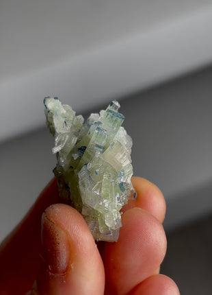 Blue Tip Tourmaline Miniature