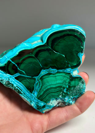 Top ! Blue Chrysocolla with Green Malachite Stalactite