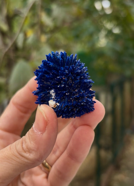 Azurite Collection # 632