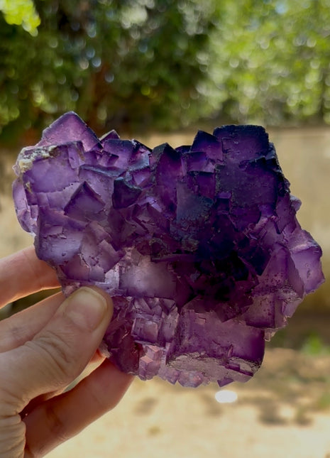 New find ! Fluorite from Turkey PM1065