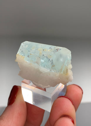 DT Blue Aquamarine on Albite