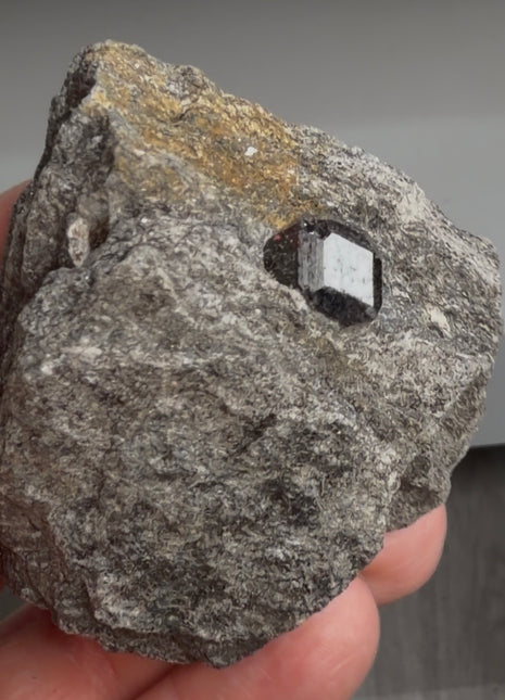 6 Pieces ! Red Garnet in Schist Lot from Wrangell Island