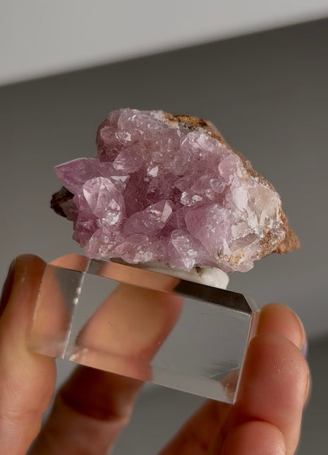 Pink Cobaltocalcite Collection # 751