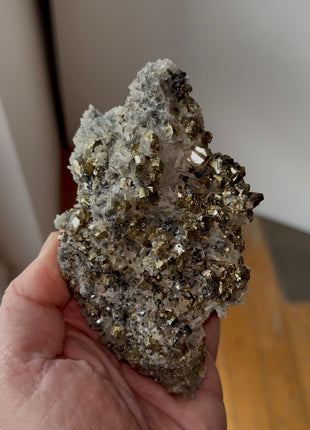 Fine Golden Pyrite with Quartz Special Price 💥