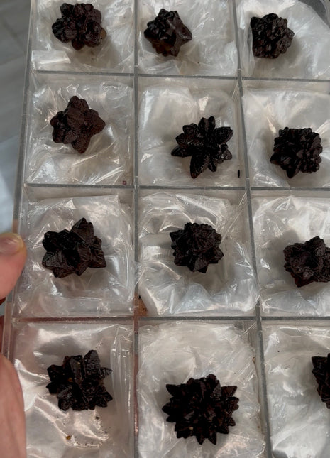 12 Pieces ! Prophecy Stone Lot