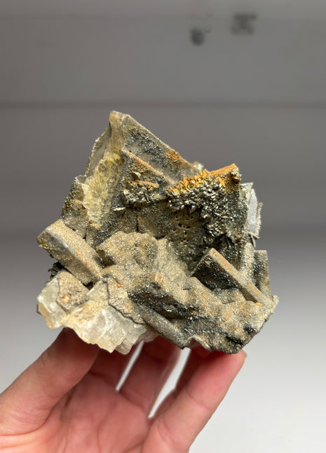 Wow ! Pyrite after Barite DW028