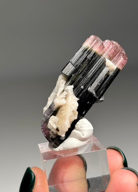 Pink Cap Tourmaline with Cleavelandite