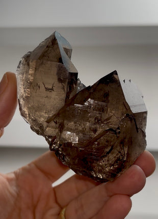 Smoky Quartz from Mont Blanc PM1133