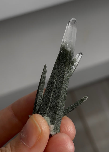 Quartz with Chlorite from Ganesh Himal PM0928