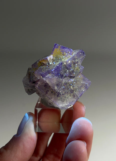 New Arrival ! Galaxy Fluorite