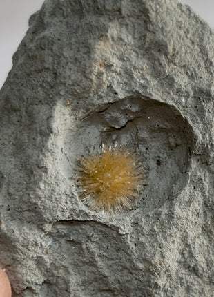 Bursting Sun Aragonite in Cluster - From Pantoja, Spain