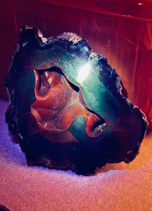 Red Fox Agate Geode from Argentina