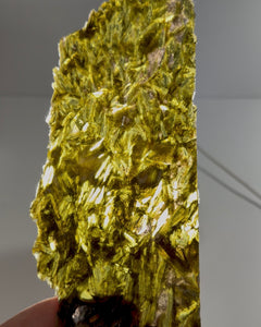 Collection image for: New Arrivals