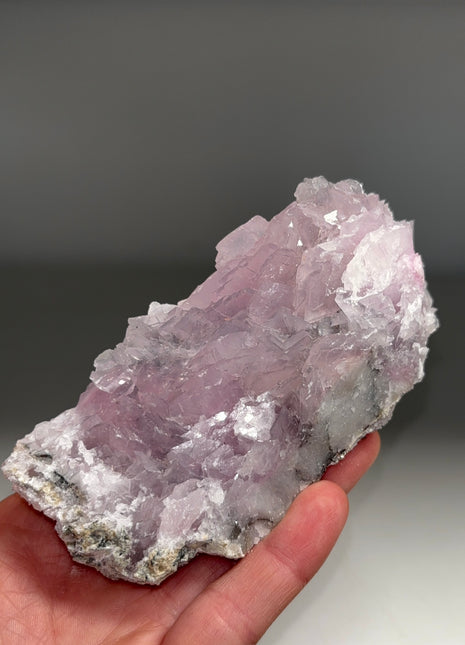 Angel Wing Pink Cobaltocalcite