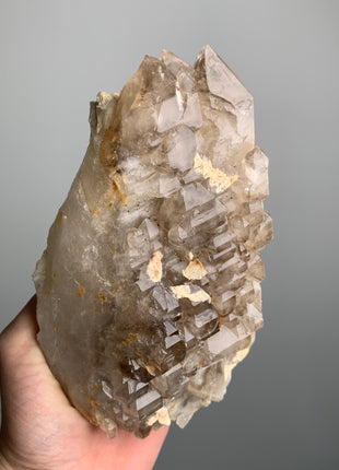 Elestial Smoky Quartz - From Namibia