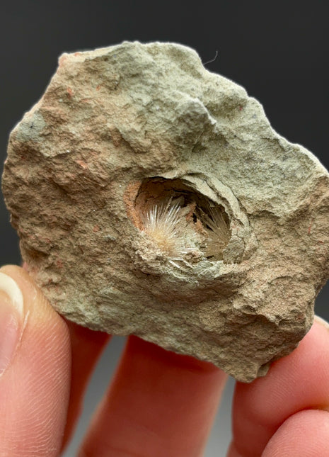 Bursting Sun Aragonite in Cluster - From Pantoja, Spain