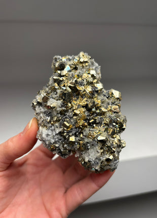 Pyrite with Quartz DW029