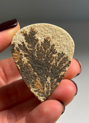 Dendritic Flower on Limestone from Germany