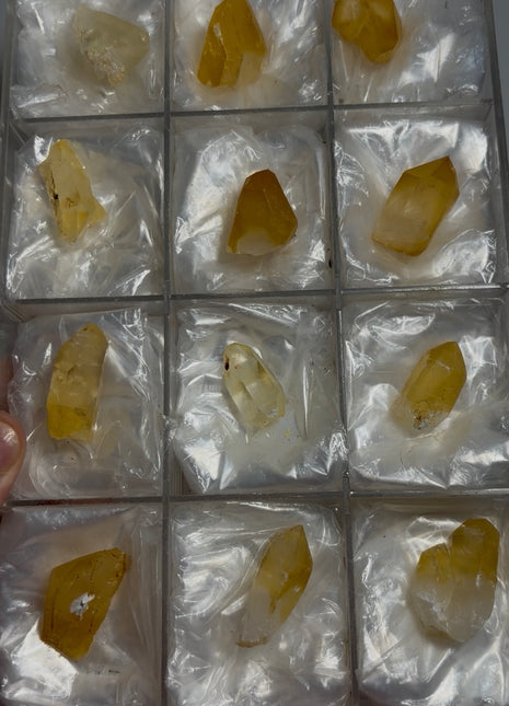 12 Pieces ! Iridescent Golden Quartz Lot 🌈 from Switzerland