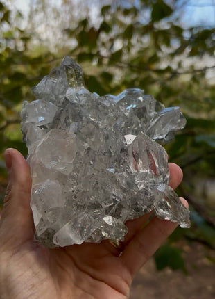 High Grade Himalayan Quartz 💎