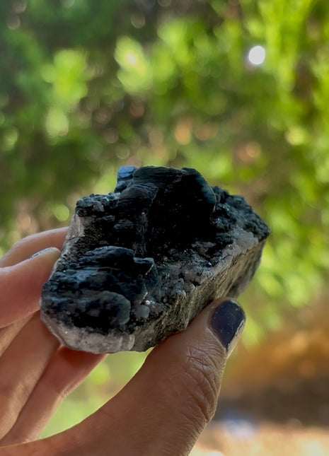 Blue Riebeckite with Quartz PM1563