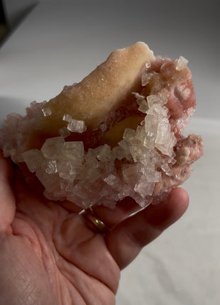 Rare ! Pink Green Bicolor Halite with Trona