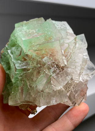 Rare Bicolor Transparent Green Halite - From Lubin mine, Poland