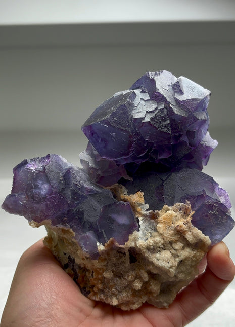 Purple Fluorite Collection # 450