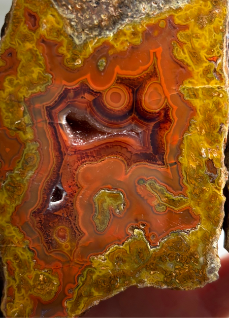 Coolest ! Black Sea Agate Pair