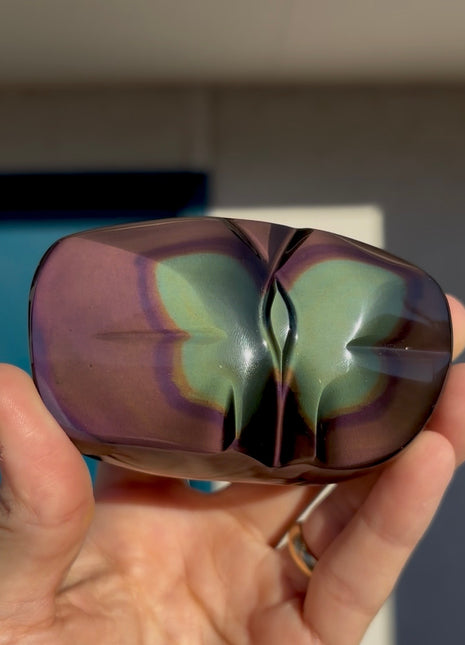 Very High Grade Rainbow Obsidian Butterfly 🌈