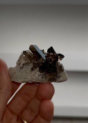Smoky Quartz from Mont Blanc PM1129