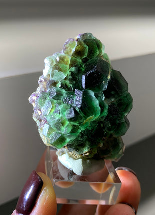 New find ! Fluorite w/ Black Tourmaline - From Erongo, Namibia