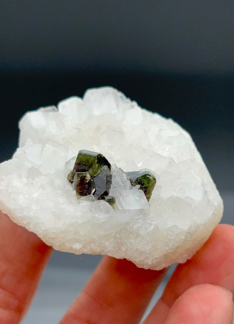 Uvite Tourmaline on Magnesite Collection # 445