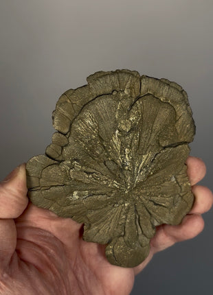 Pyrite Sun - From Sparta, Illinois