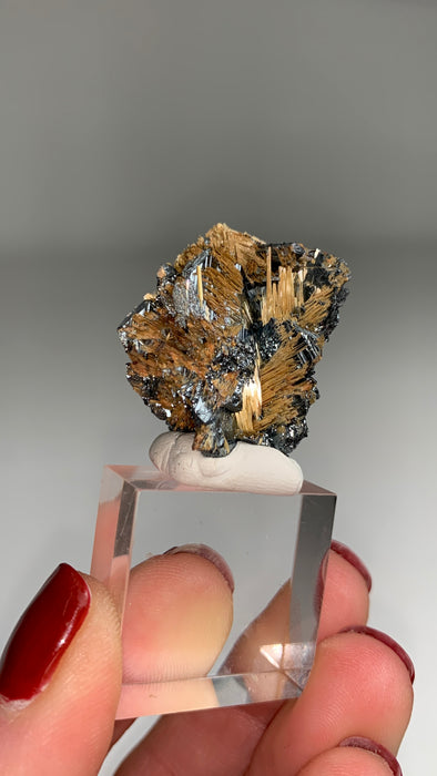 New Arrival !  Rutile with Shiny Hematite - From Brazil
